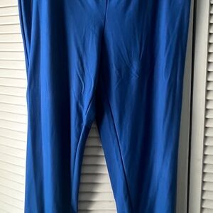 Terra & Sky Women's Blue Pants